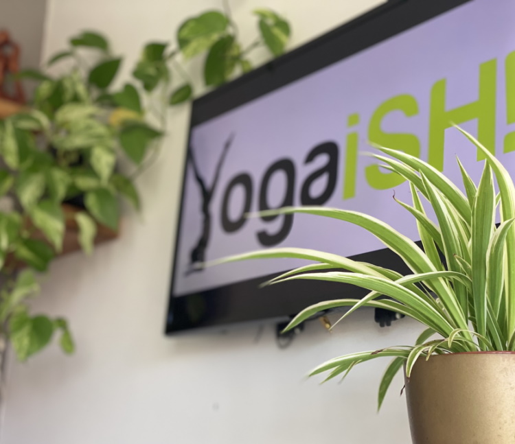 yoga home studio plants