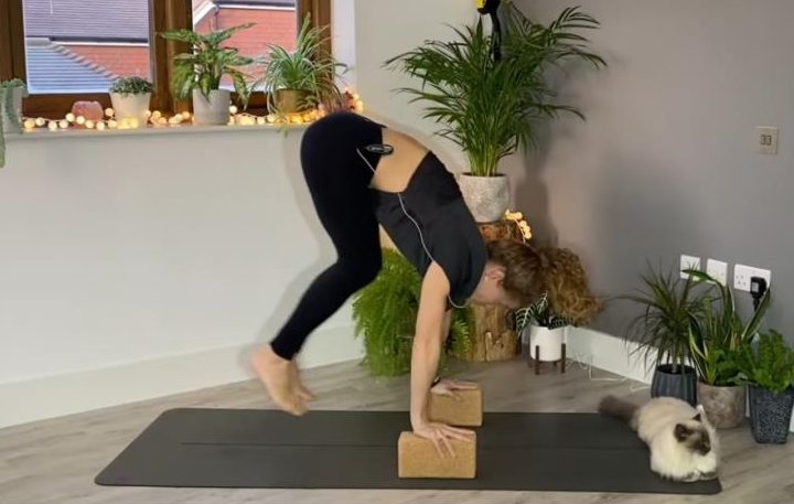 bunny hops yoga